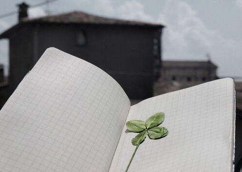Four-leaf clover - lucky charm