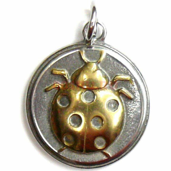 Amulet Ladybug-Bringing Financial Luck